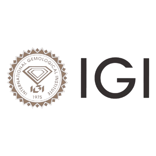 igi logo